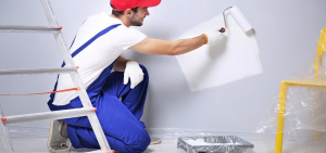 Painting and Decorating tiarashinebuilders